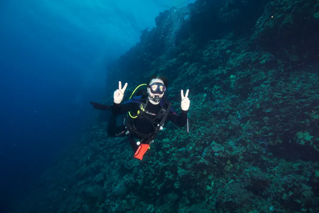 Дайвинг у рифа Daedalus