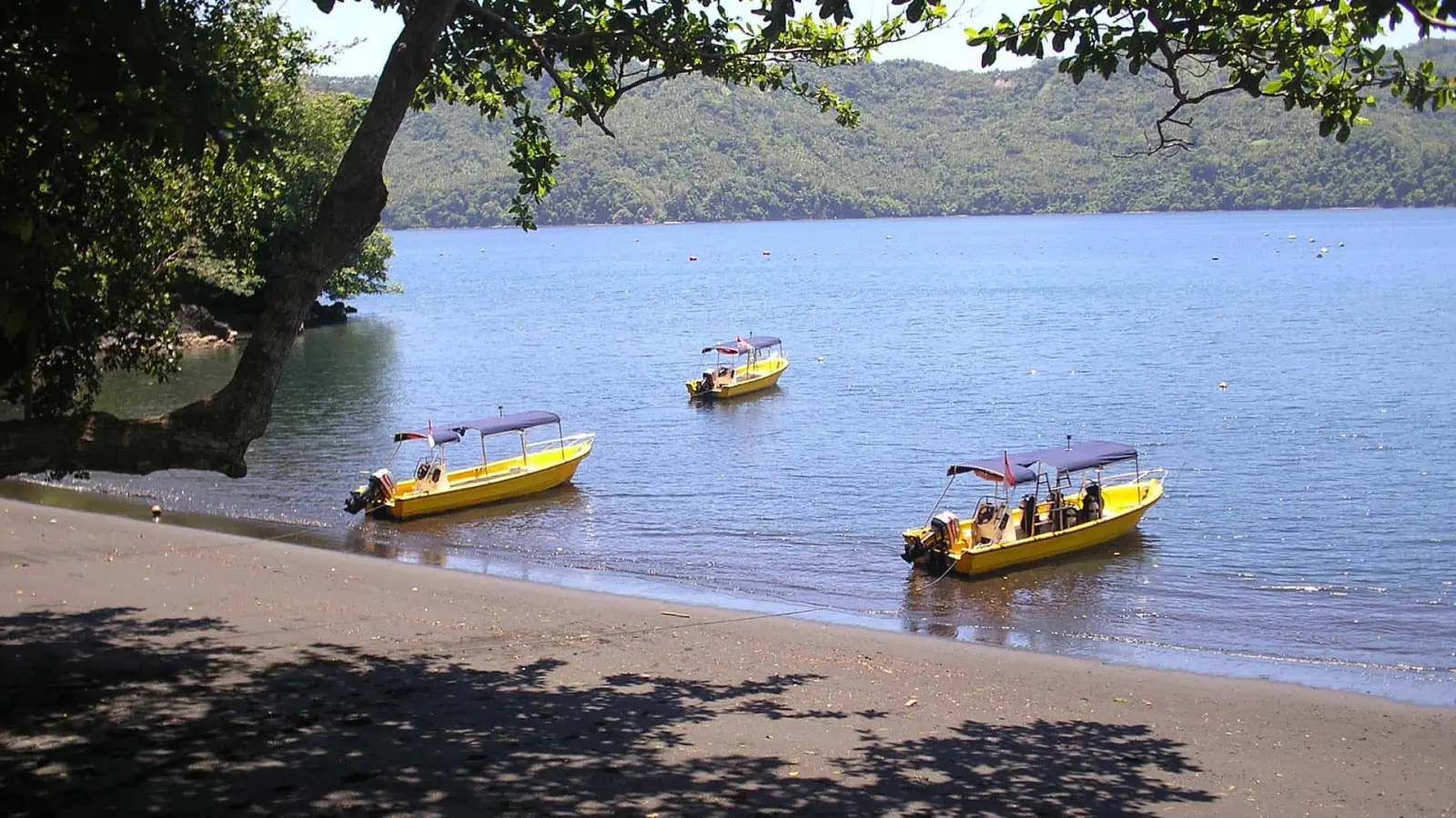 Лодки курорта у пляжа