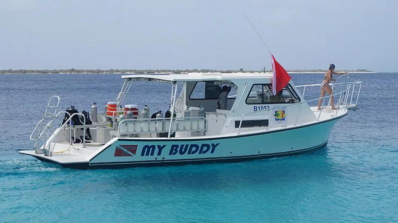 Дайв-лодка My Buddy в море