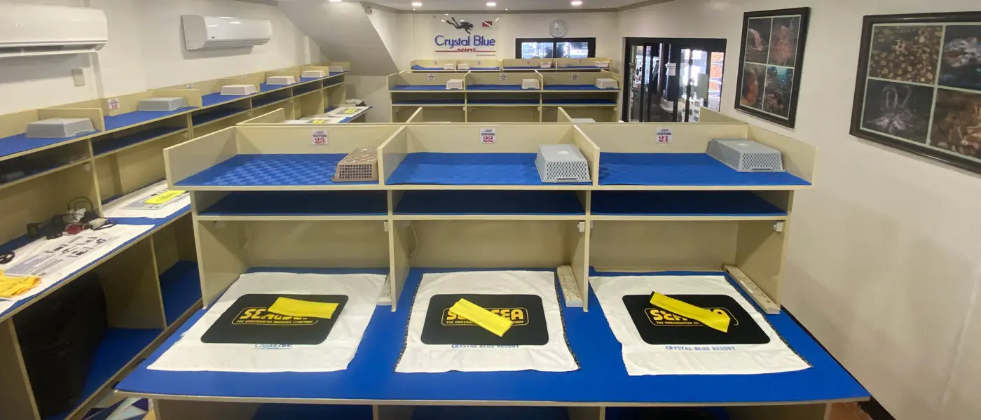Фотокомната курорта