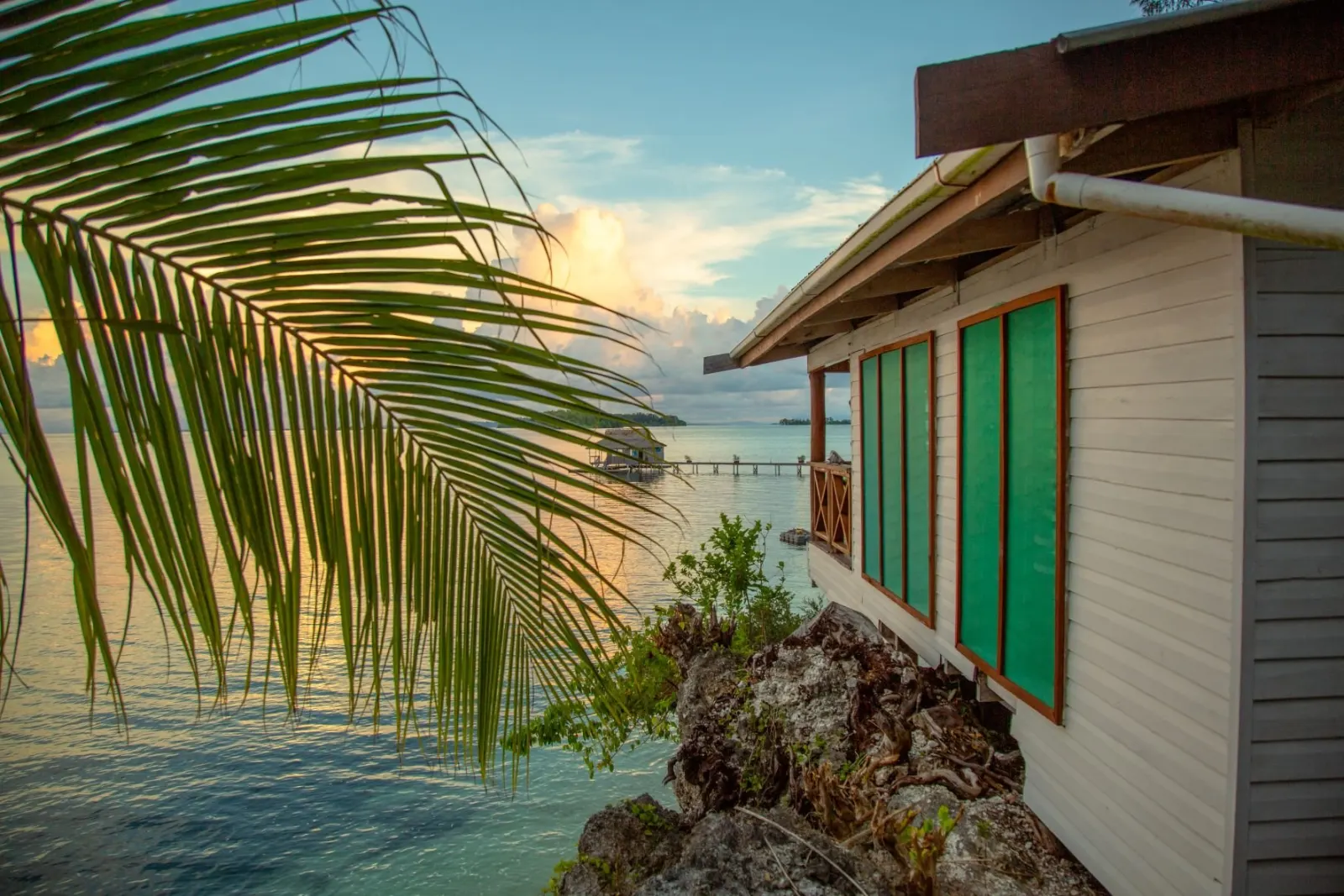 A bungalow among the palms on the shore