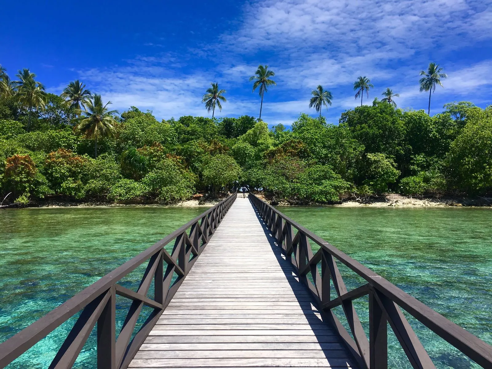 The boardwalk over the lagoon
