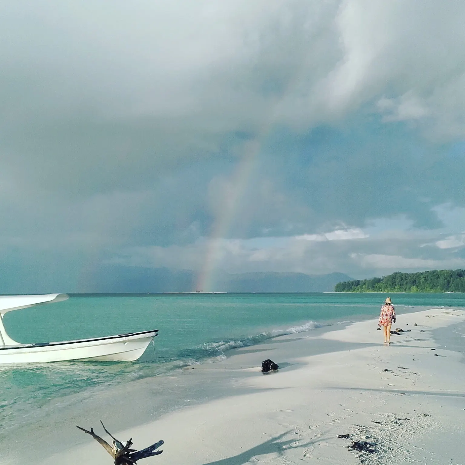 A rainbow over the beach
