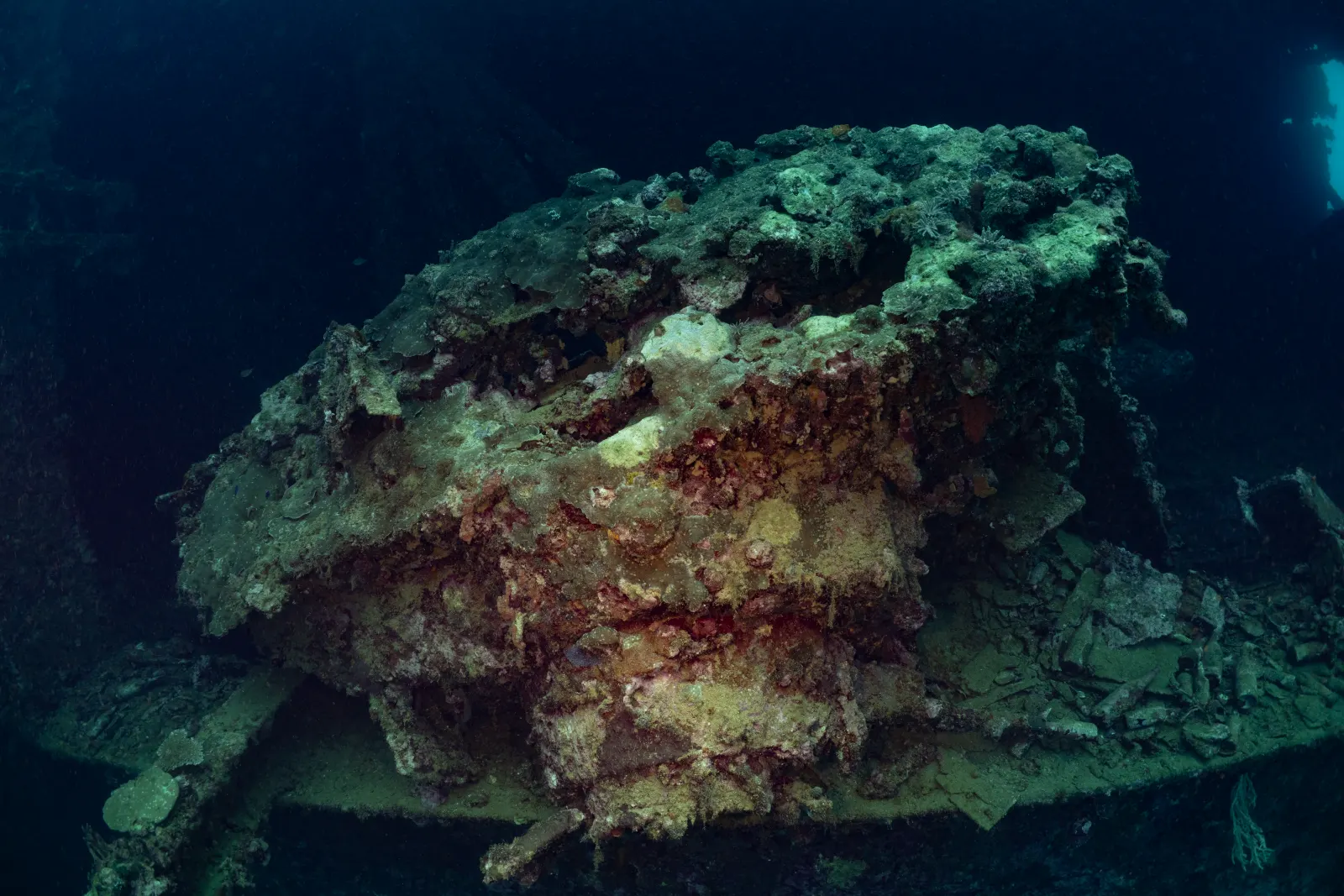 A coral-covered tank on the deck