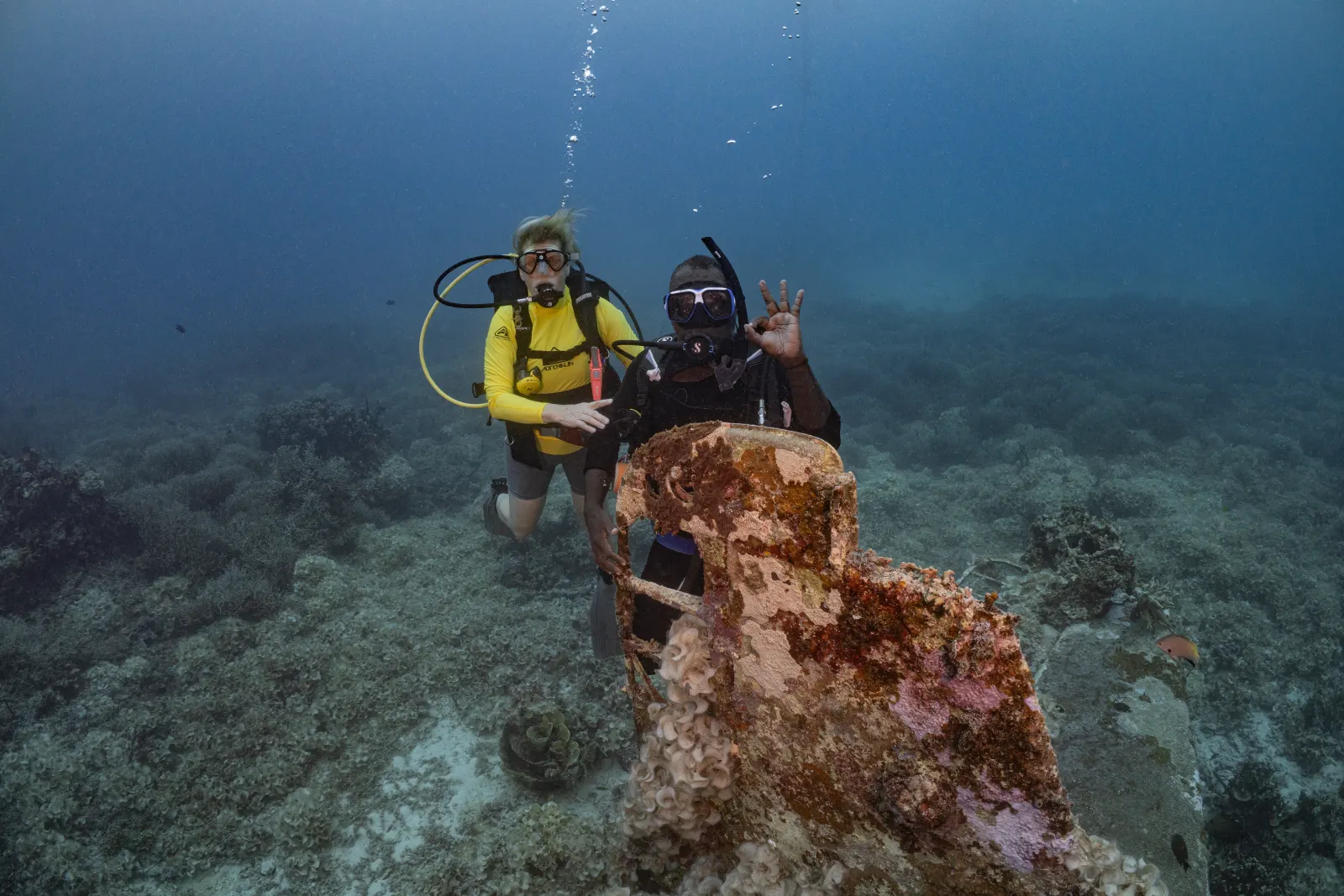 Divers over the reef