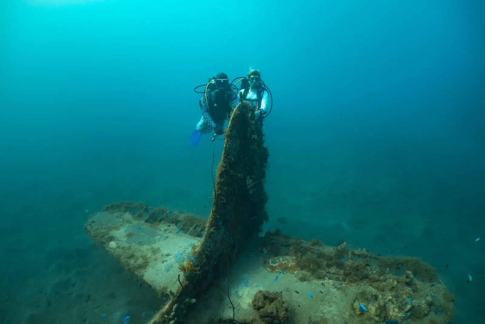 Divers at the tail of a sunken aircraft