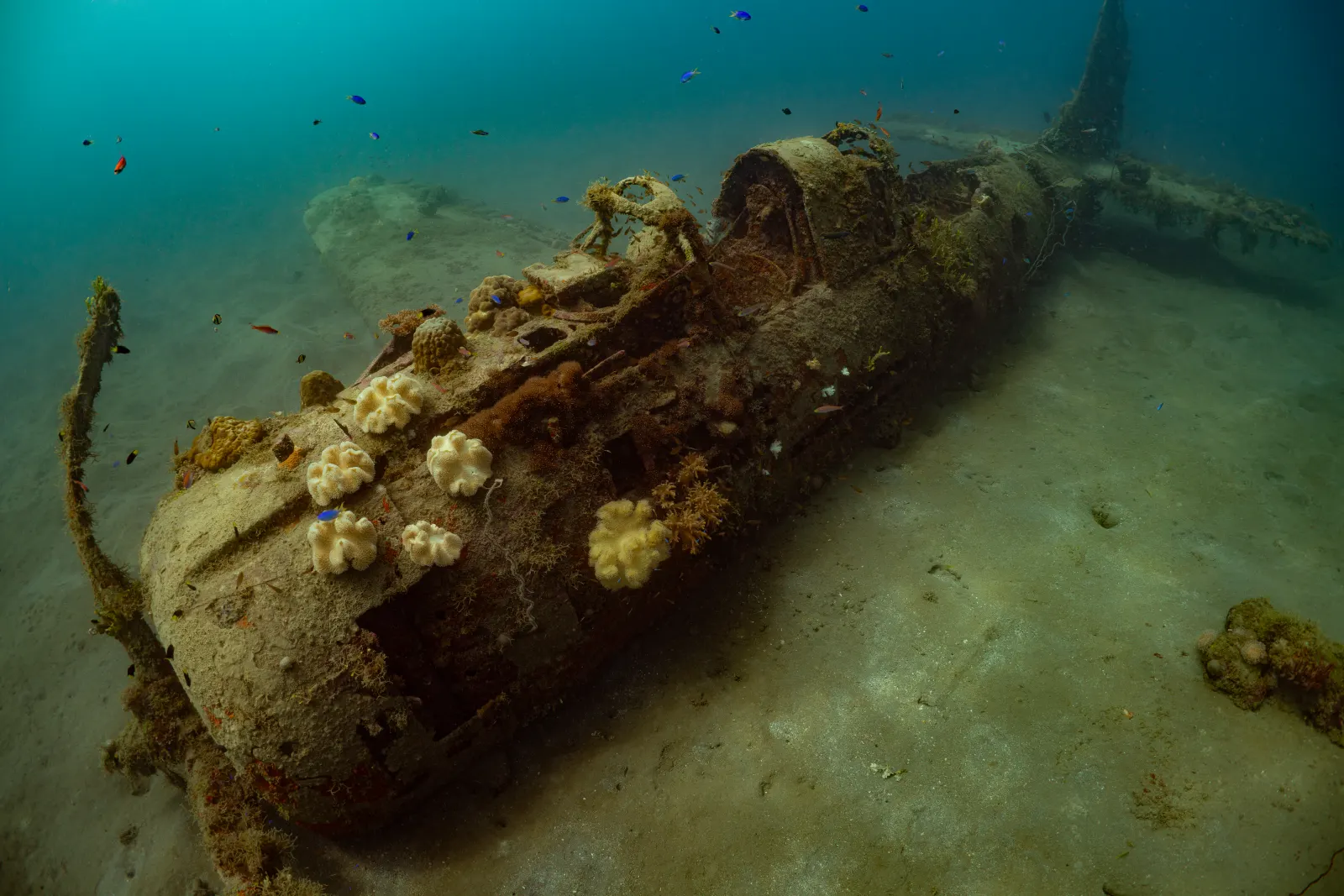 A wartime aircraft wreck on the sand
