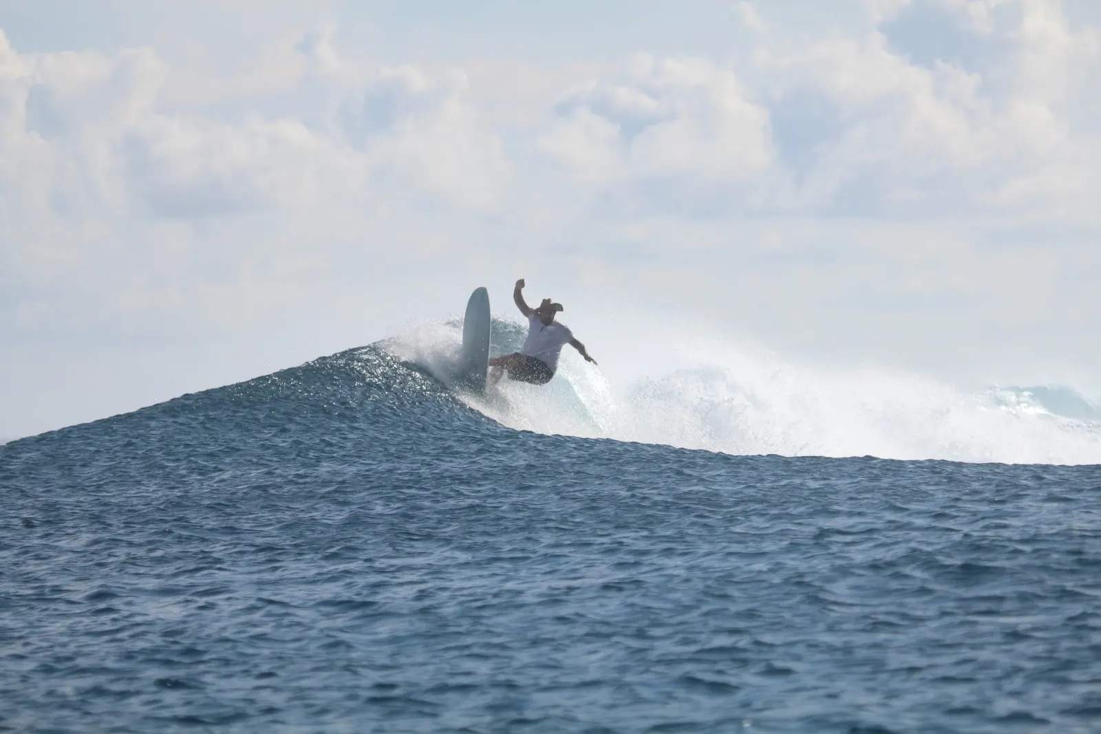A wave off the coast