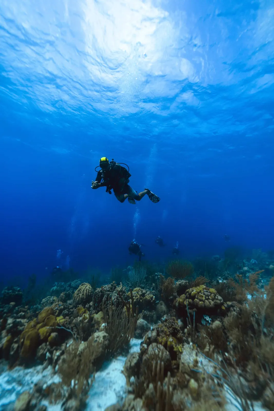 A diver over the reef