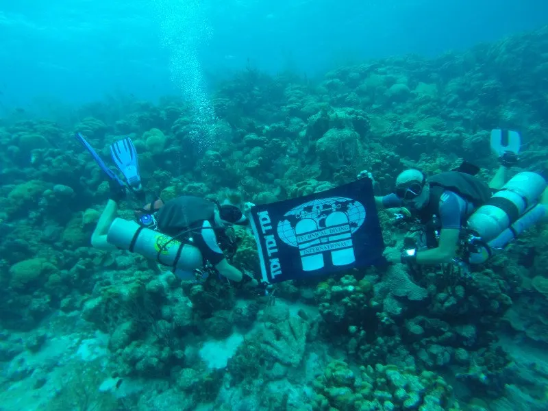 A diver on the reef slope