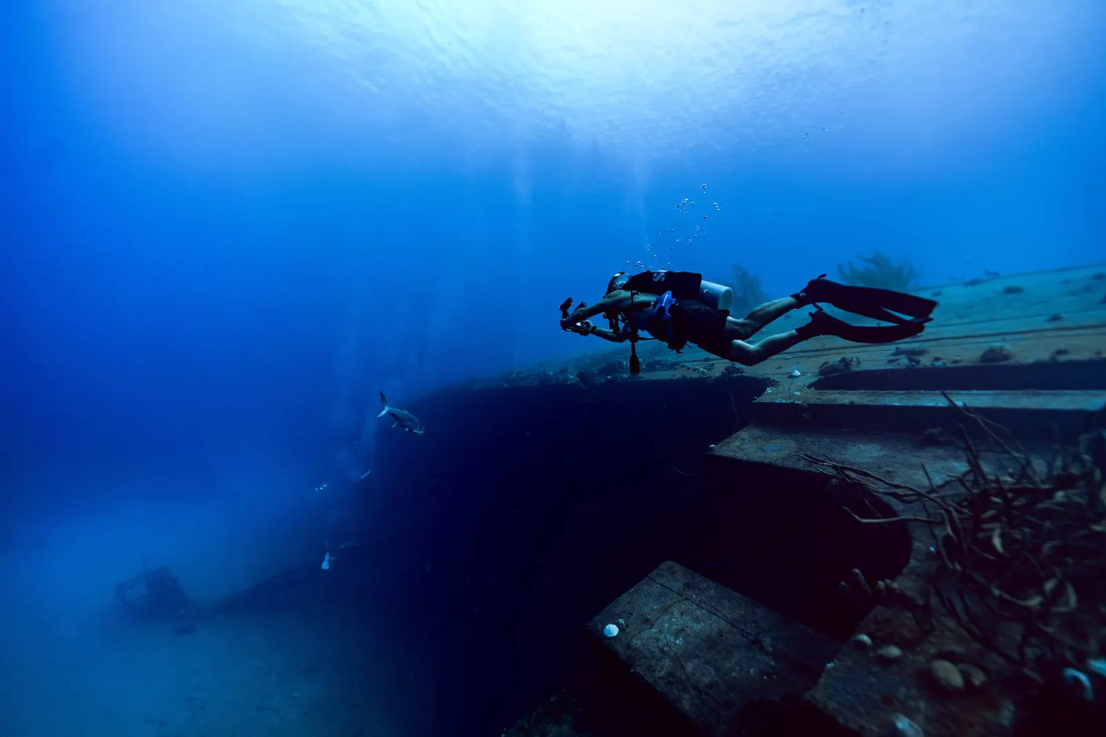 A diver above a wreck