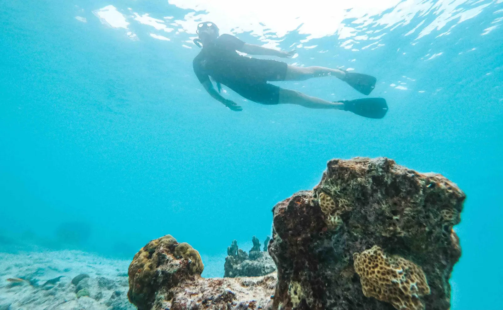 A snorkeller over coral heads