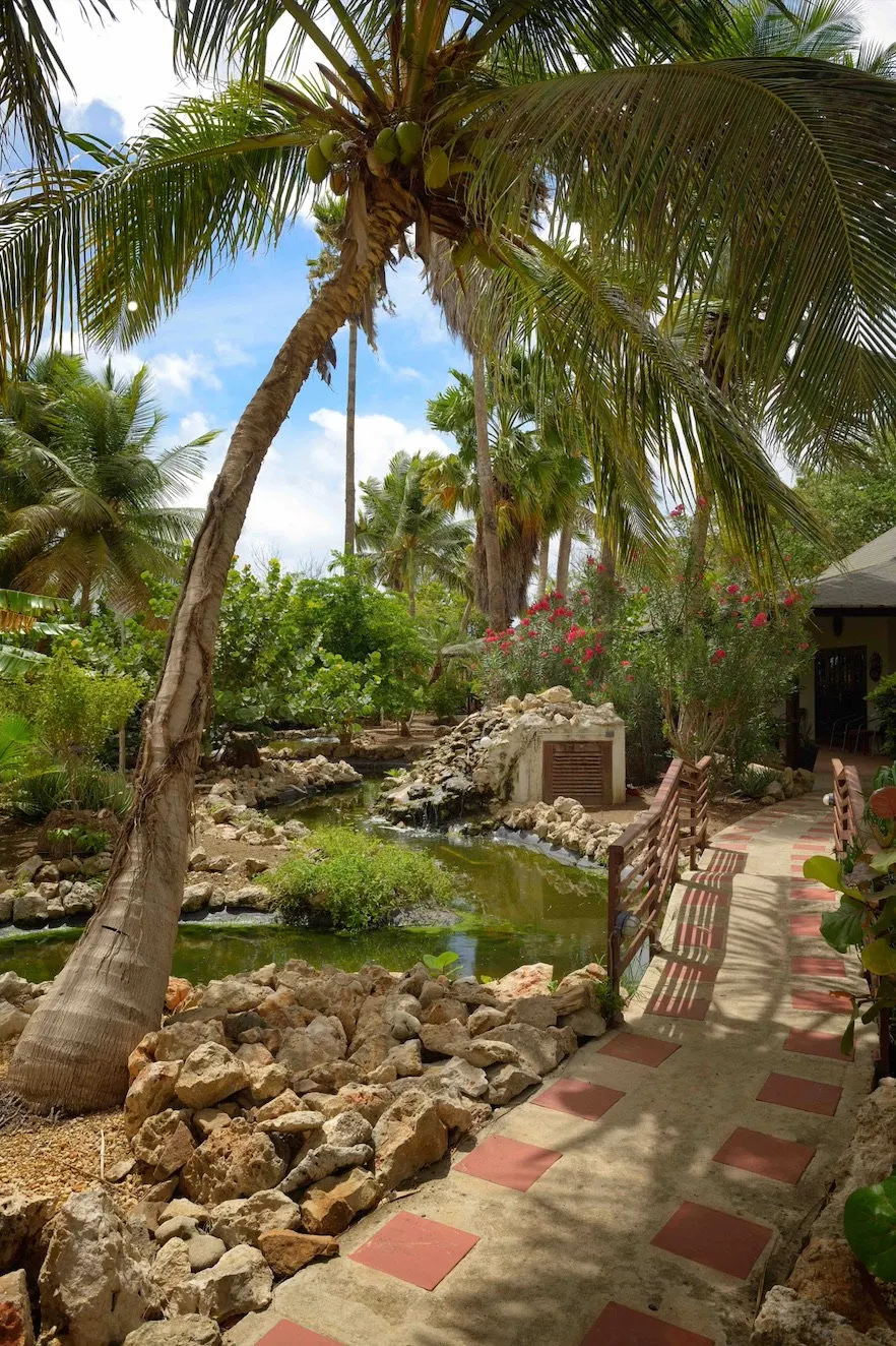 A path through the resort garden