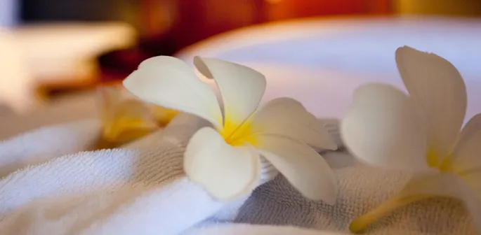 Frangipani on a towel
