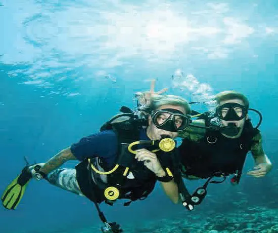 Divers on the reef