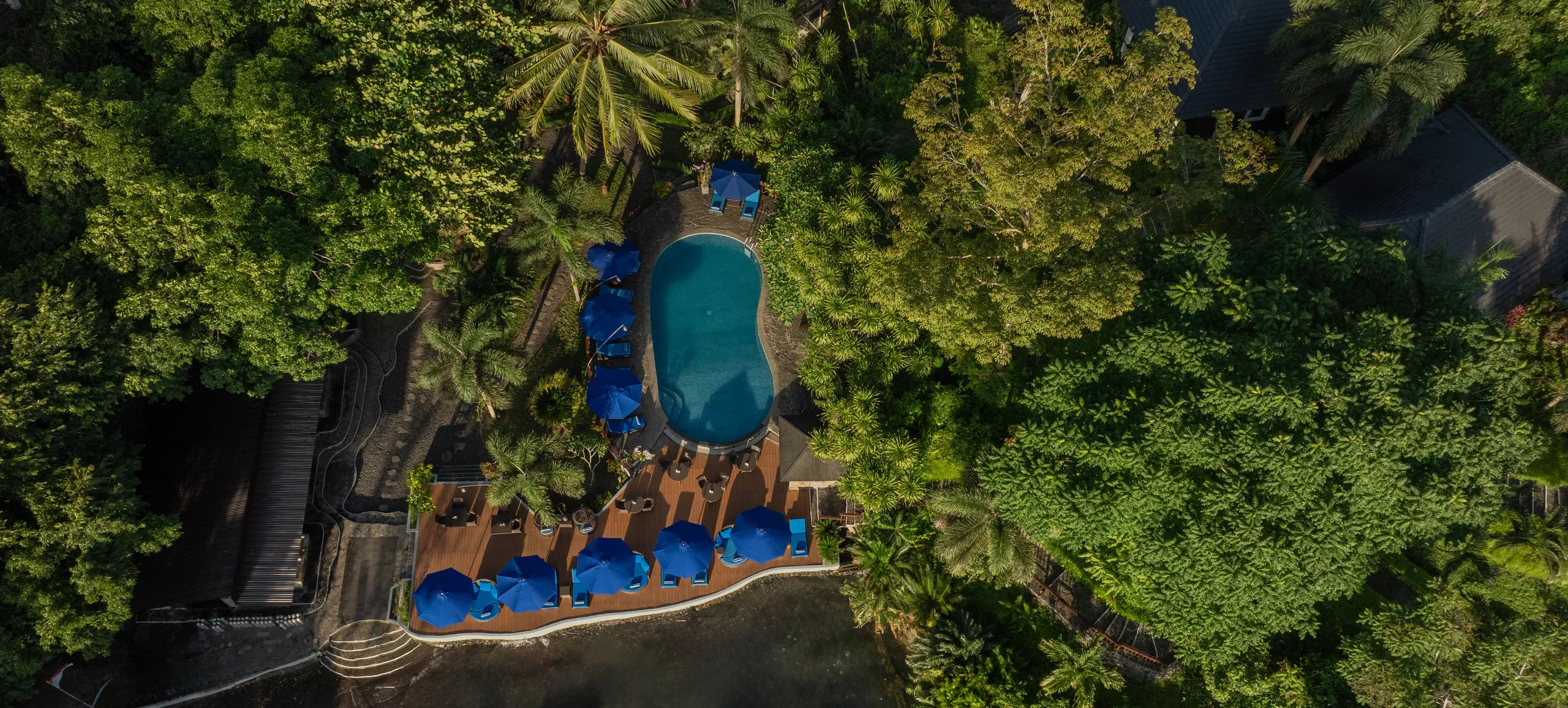 Lembeh Resort pool among the palms seen from above