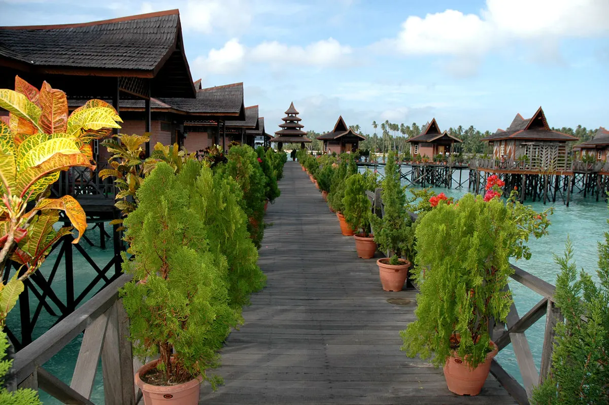Walkway with potted plants