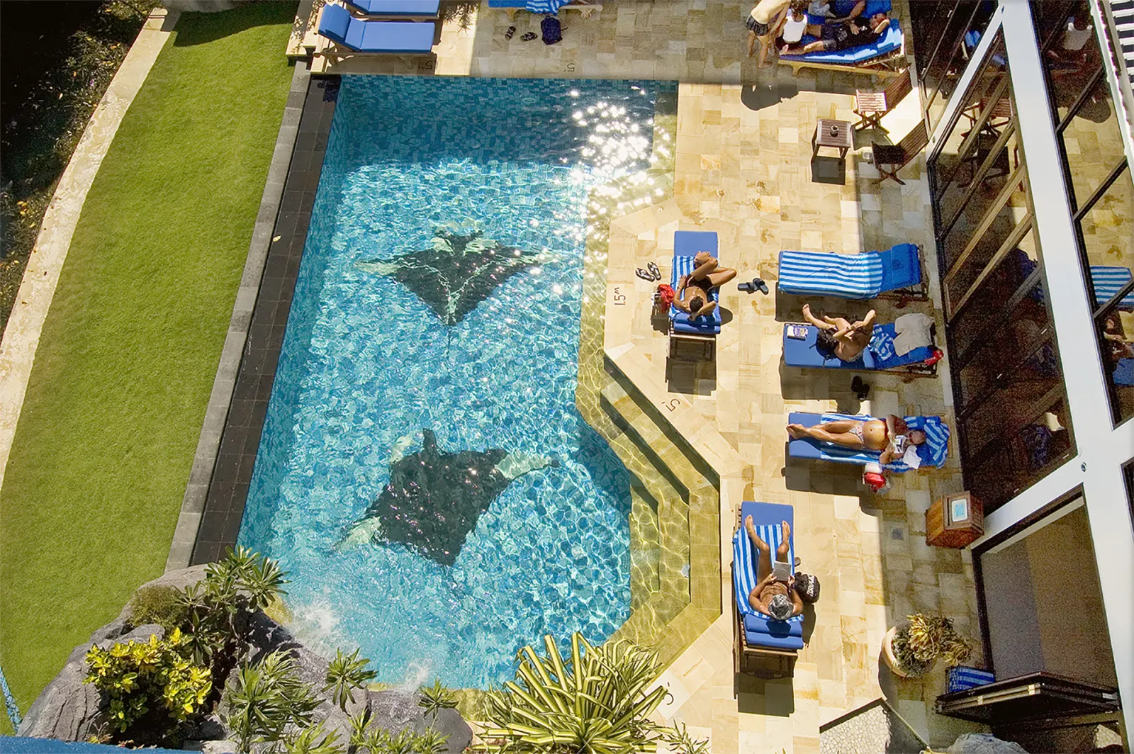 The pool and sun loungers from above