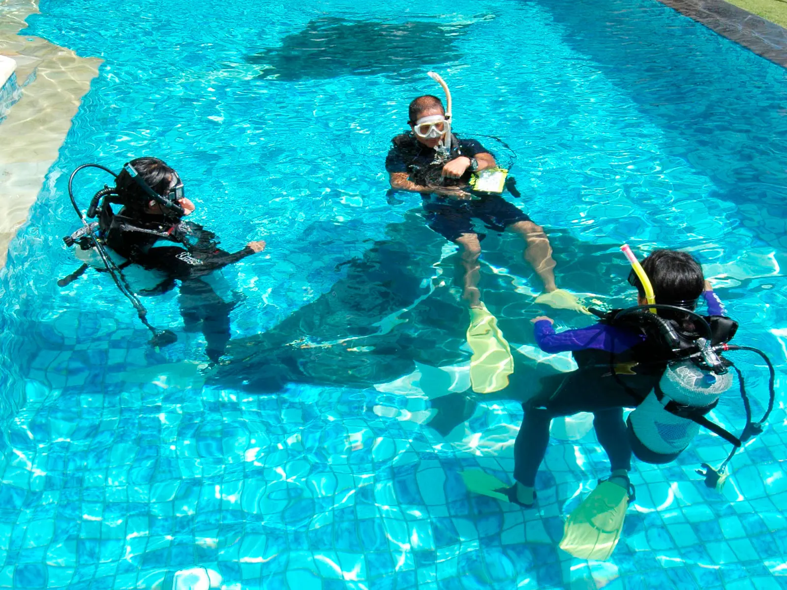 A dive course session in the pool