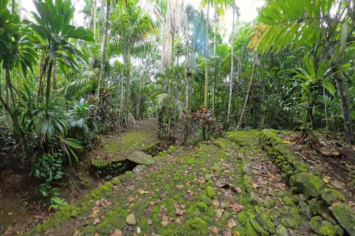An old stone path between villages