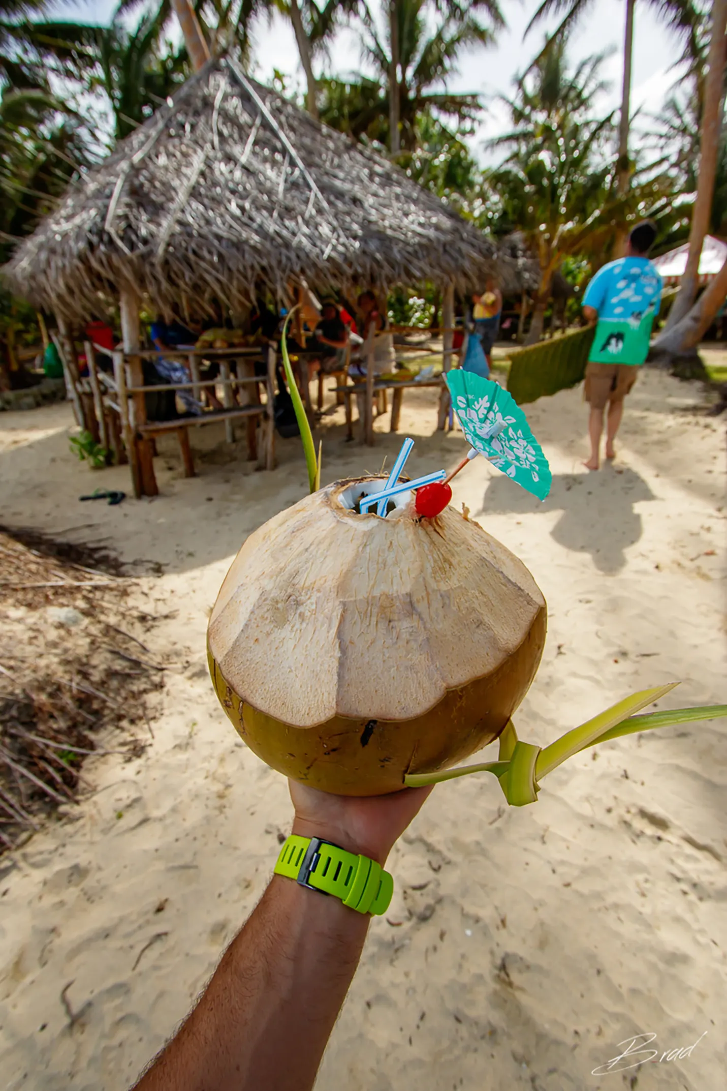 A fresh coconut on the beach
