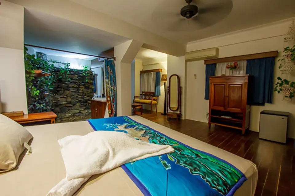 Deluxe Ocean View — stone wall and plants inside the room