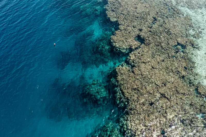 The village and the bay from the air