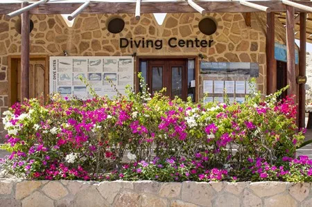 The village dive centre
