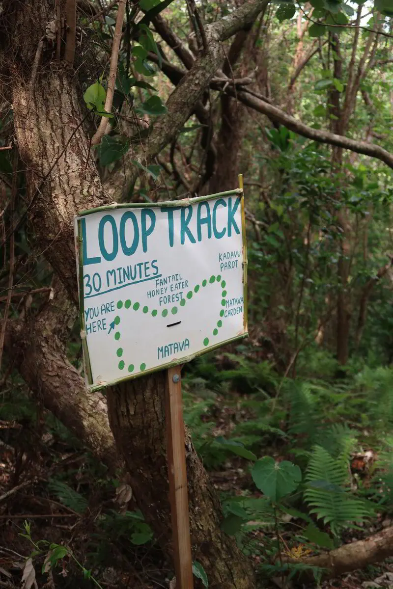 Указатель тропы Loop Track в лесу