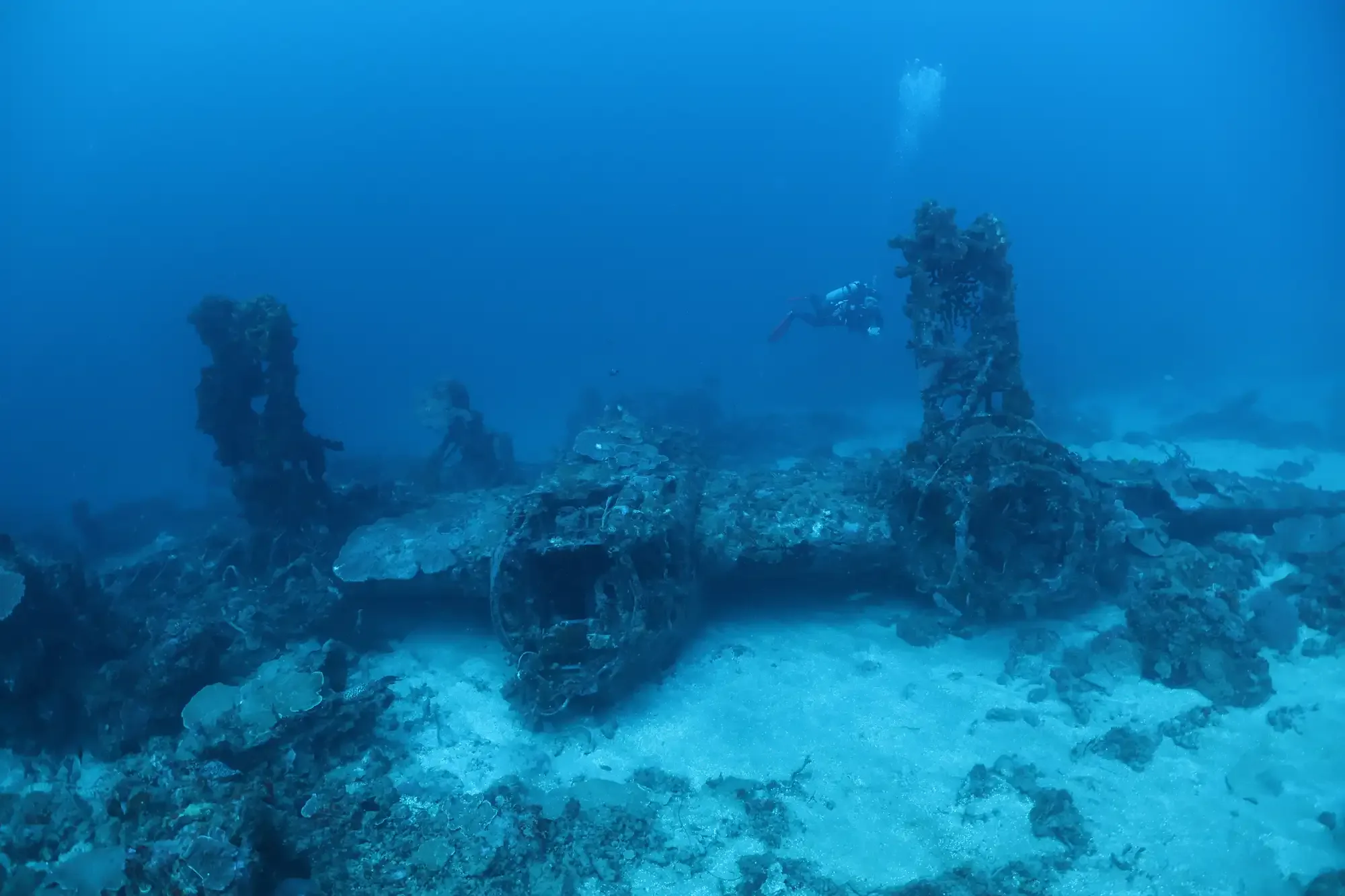 Обломки самолета Второй мировой на дне у Моротая