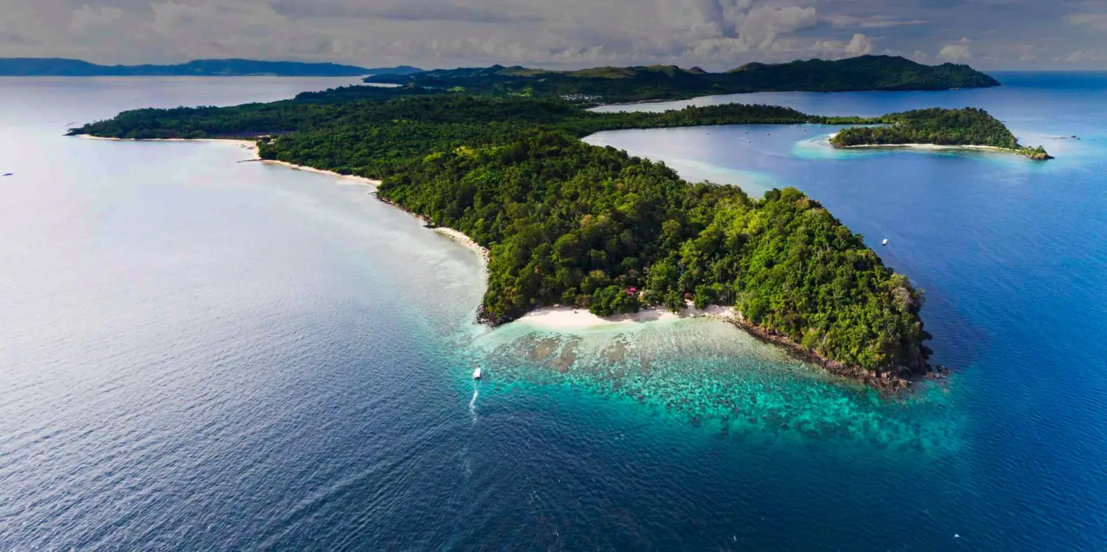 Beach and forest from above