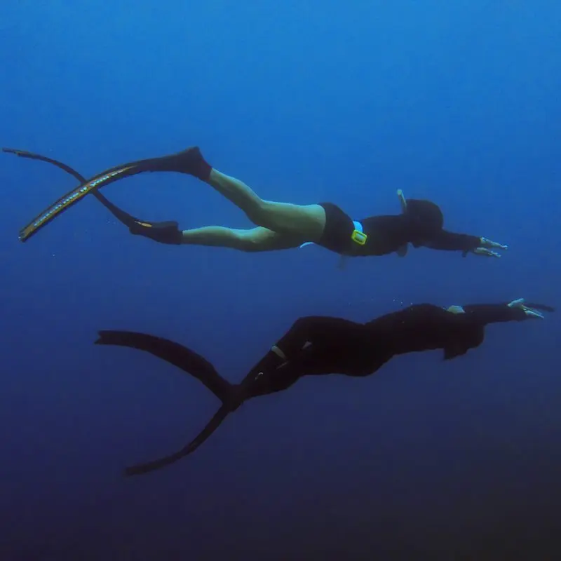 Freedivers in the blue