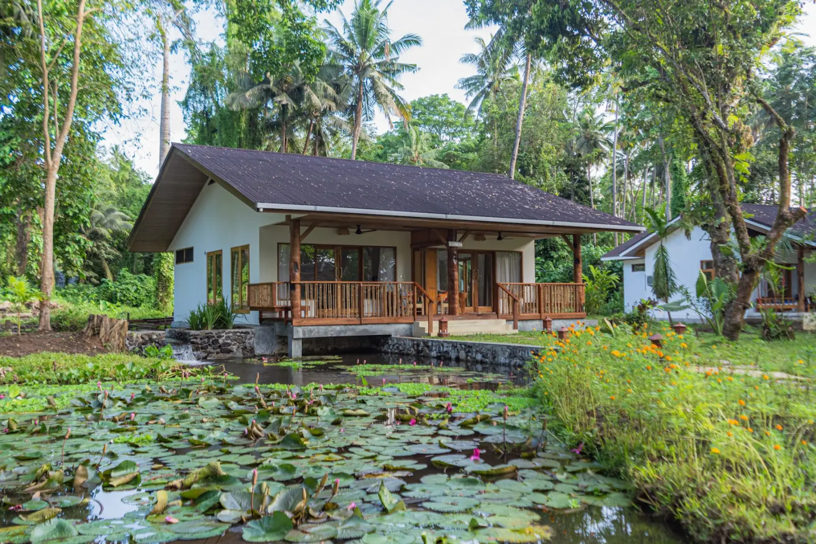 The cottage from the garden