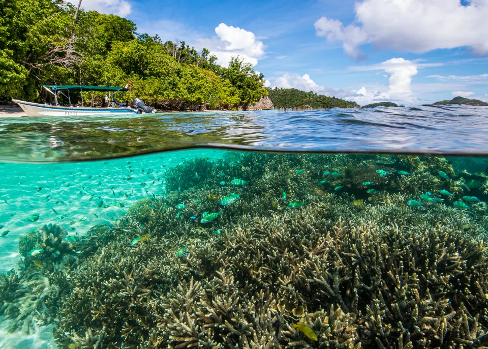Лагуна на разрезе воды