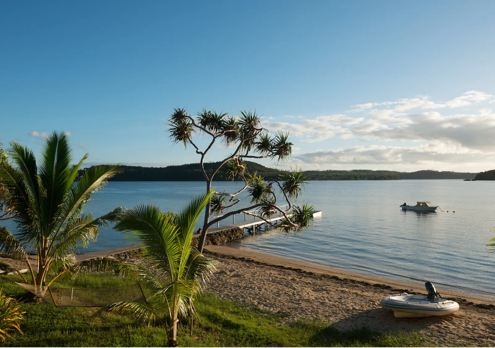 Shoreline with palms and a boat