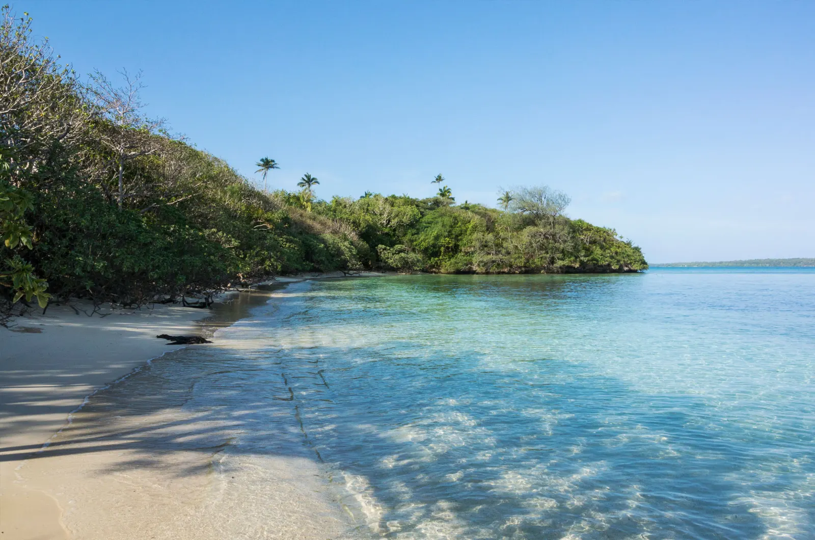 White sand in a sheltered bay