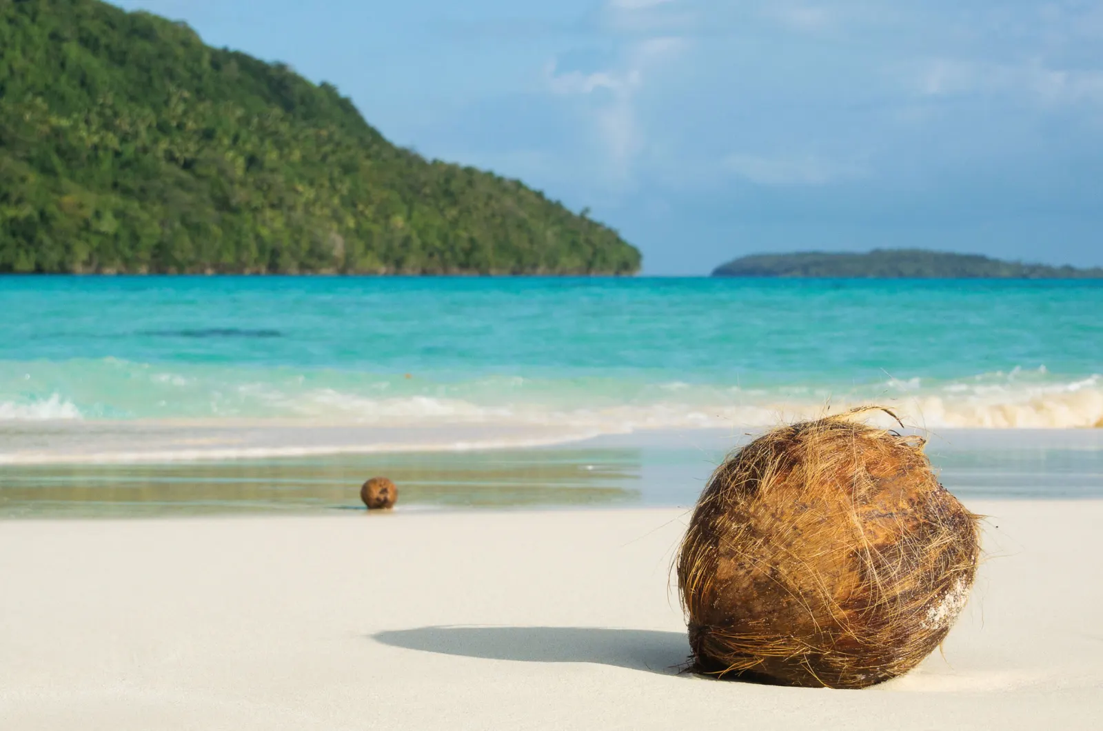 A coconut on the sand