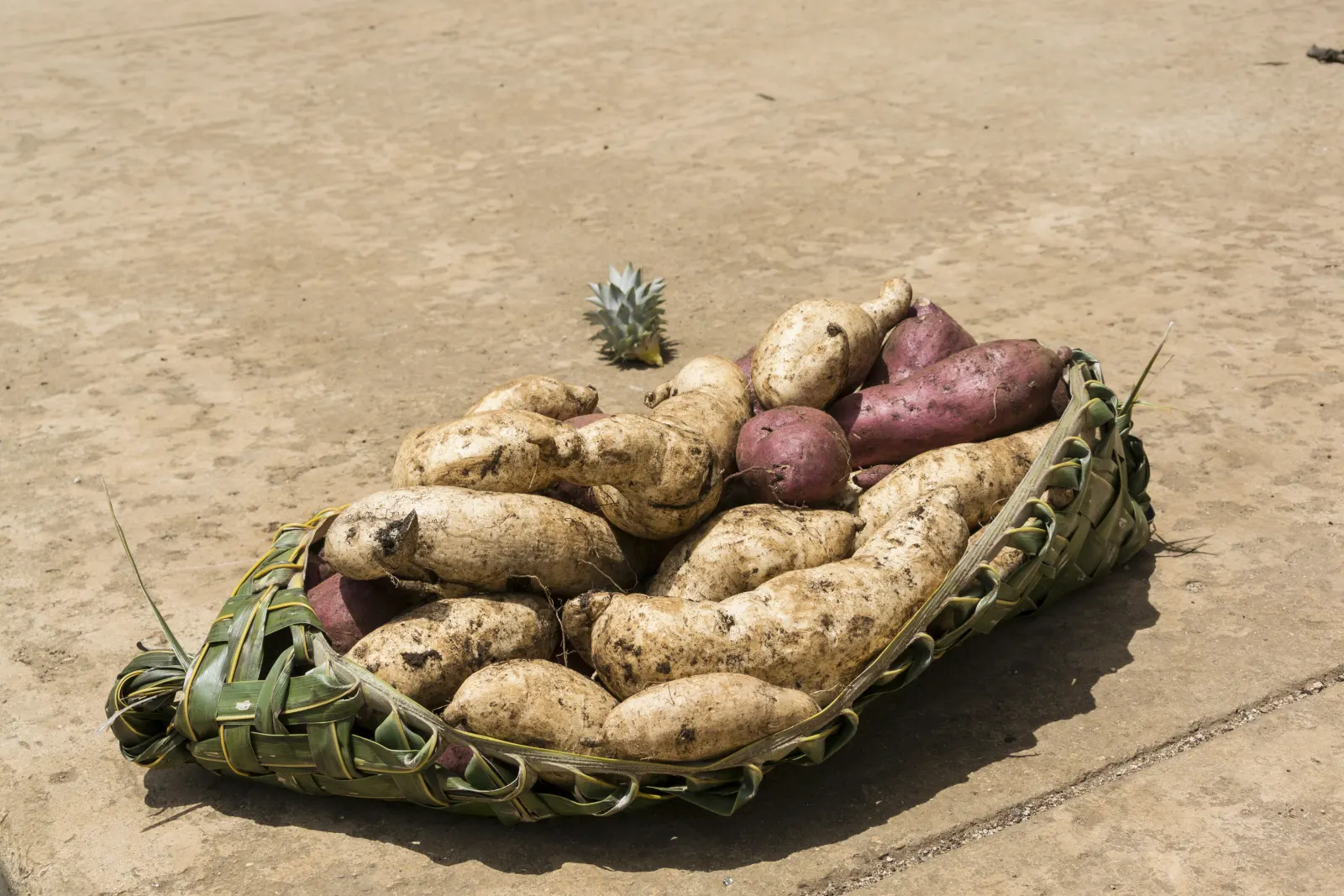 Sweet potatoes from the local market