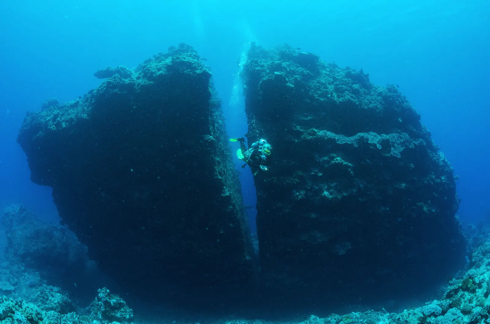 A diver by an underwater wall