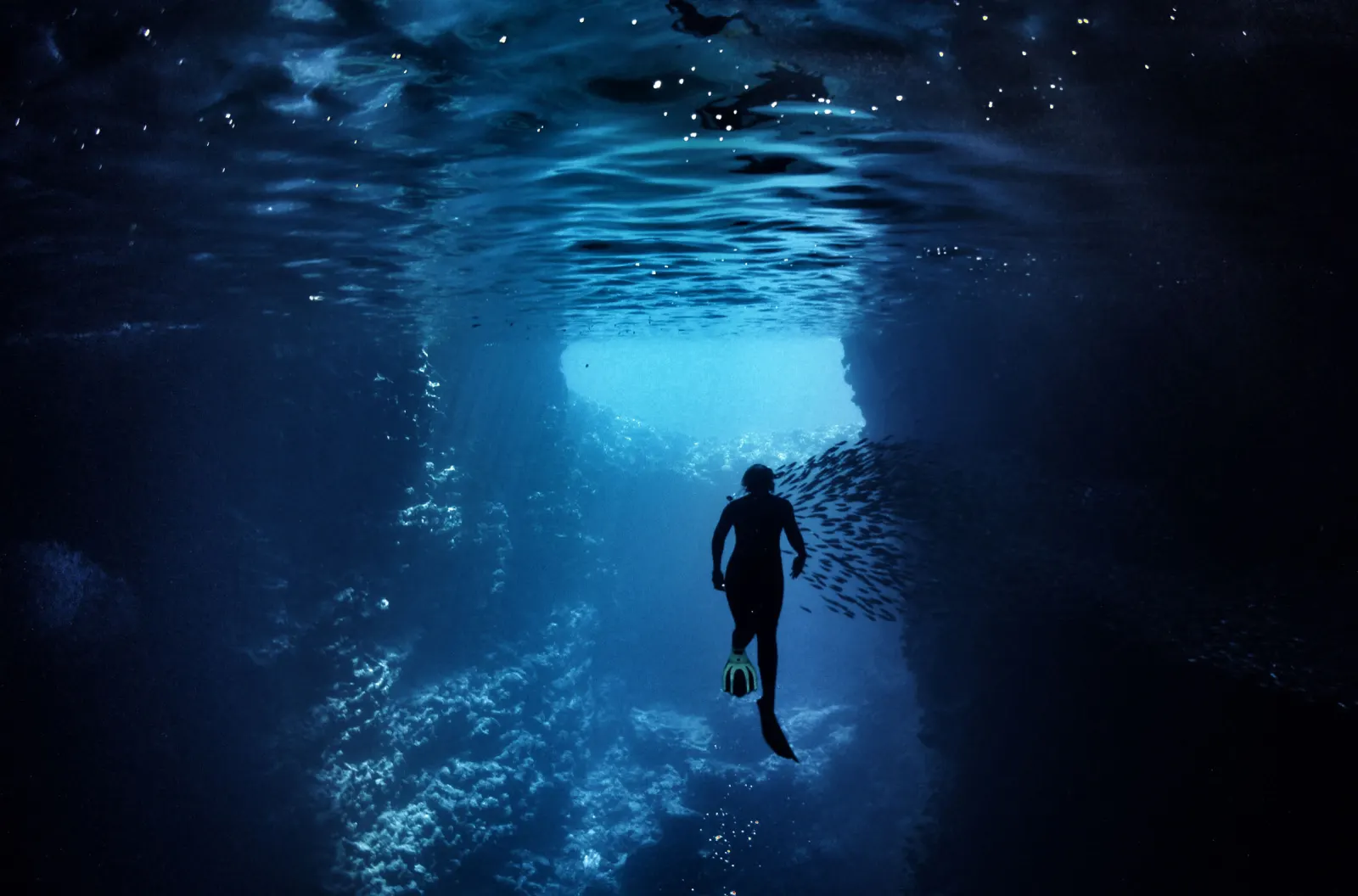 Snorkelling in Swallows Cave