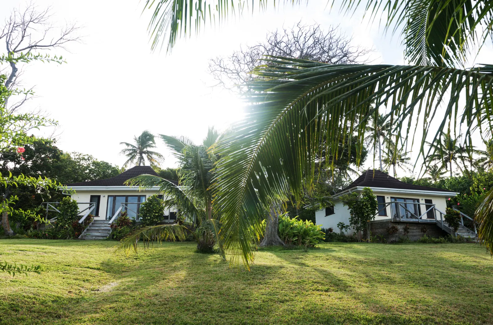 Deluxe Bungalow — a fale among the palms