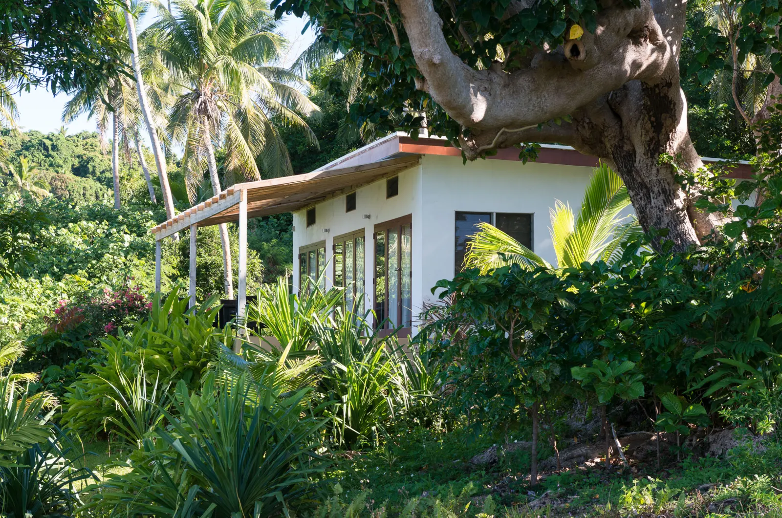 Honeymoon Villa — the villa among the greenery