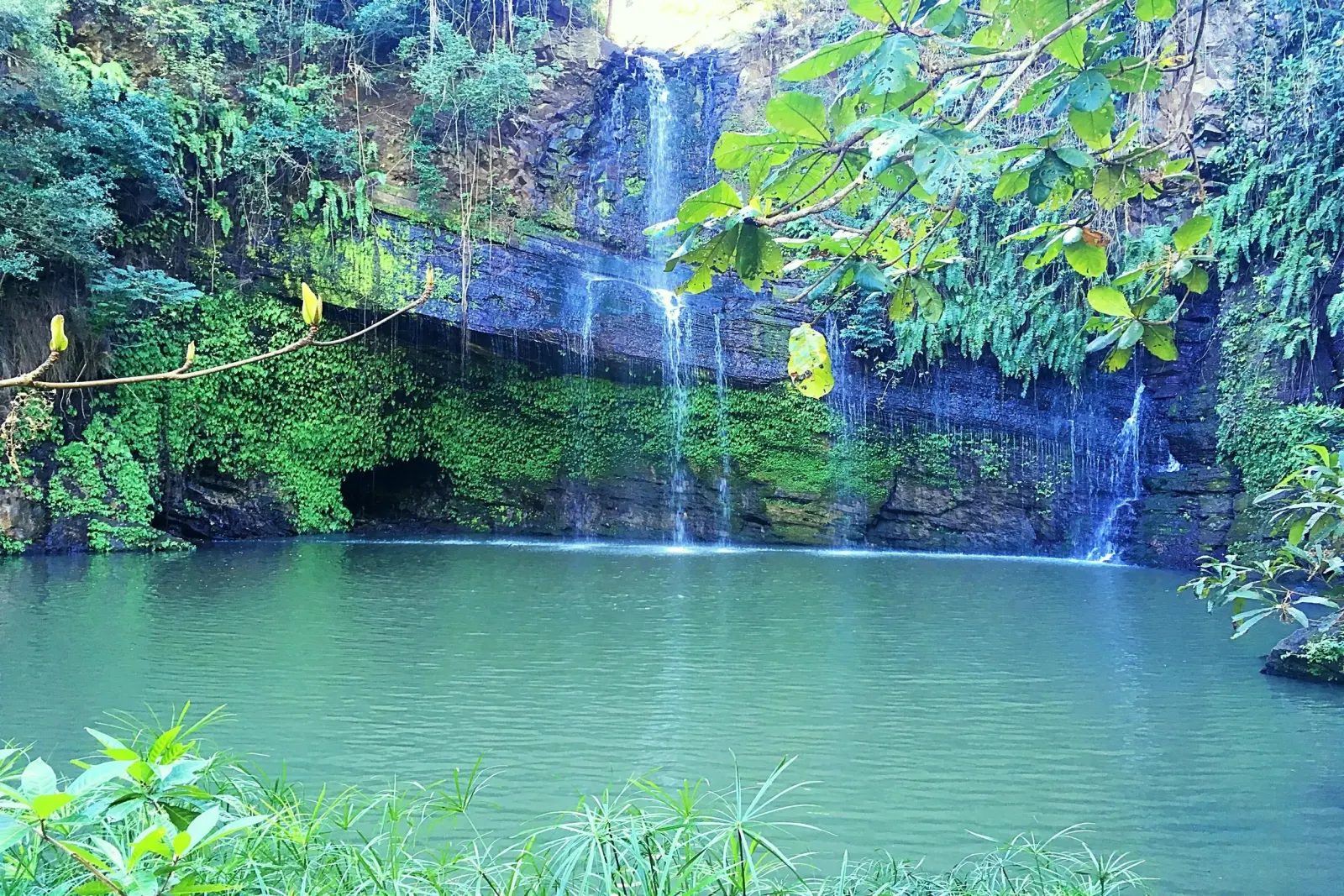 A waterfall and pool in the forest