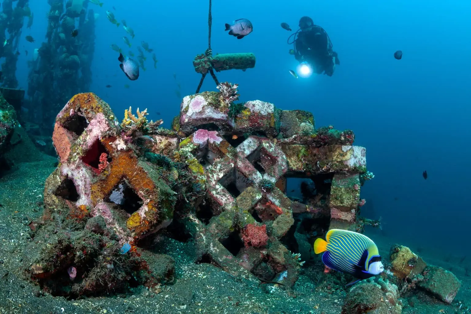 Дайвер над искусственным рифом Kubu Marine Park