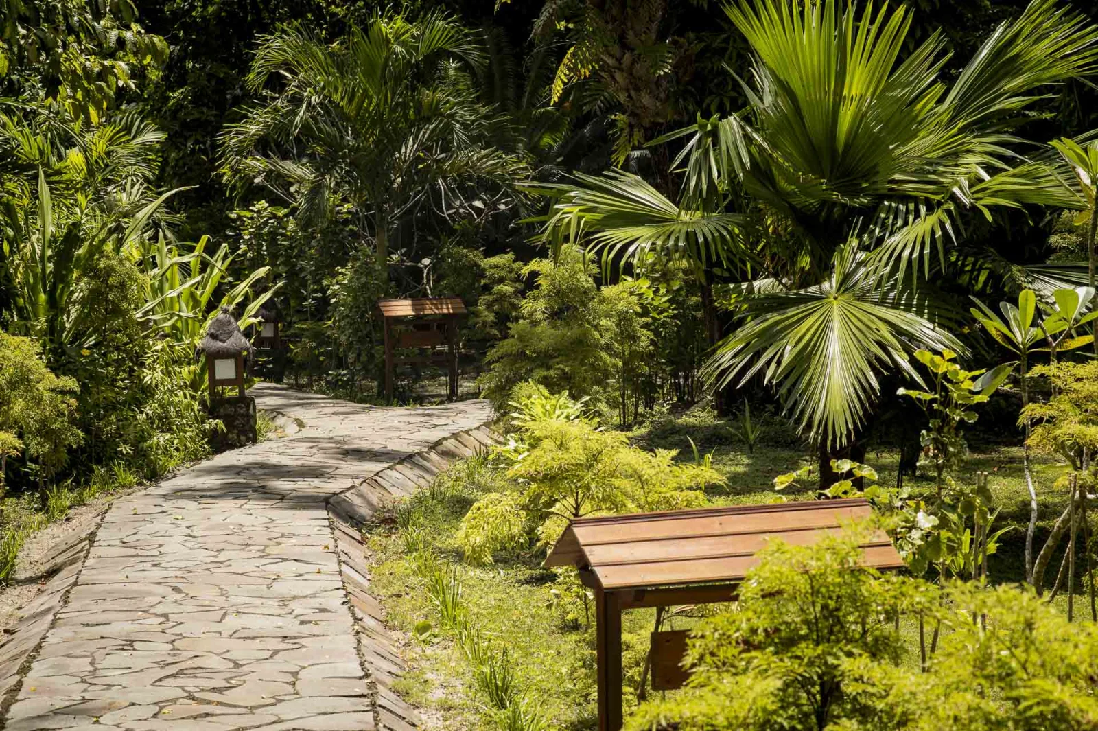 A path through the resort's tropical garden