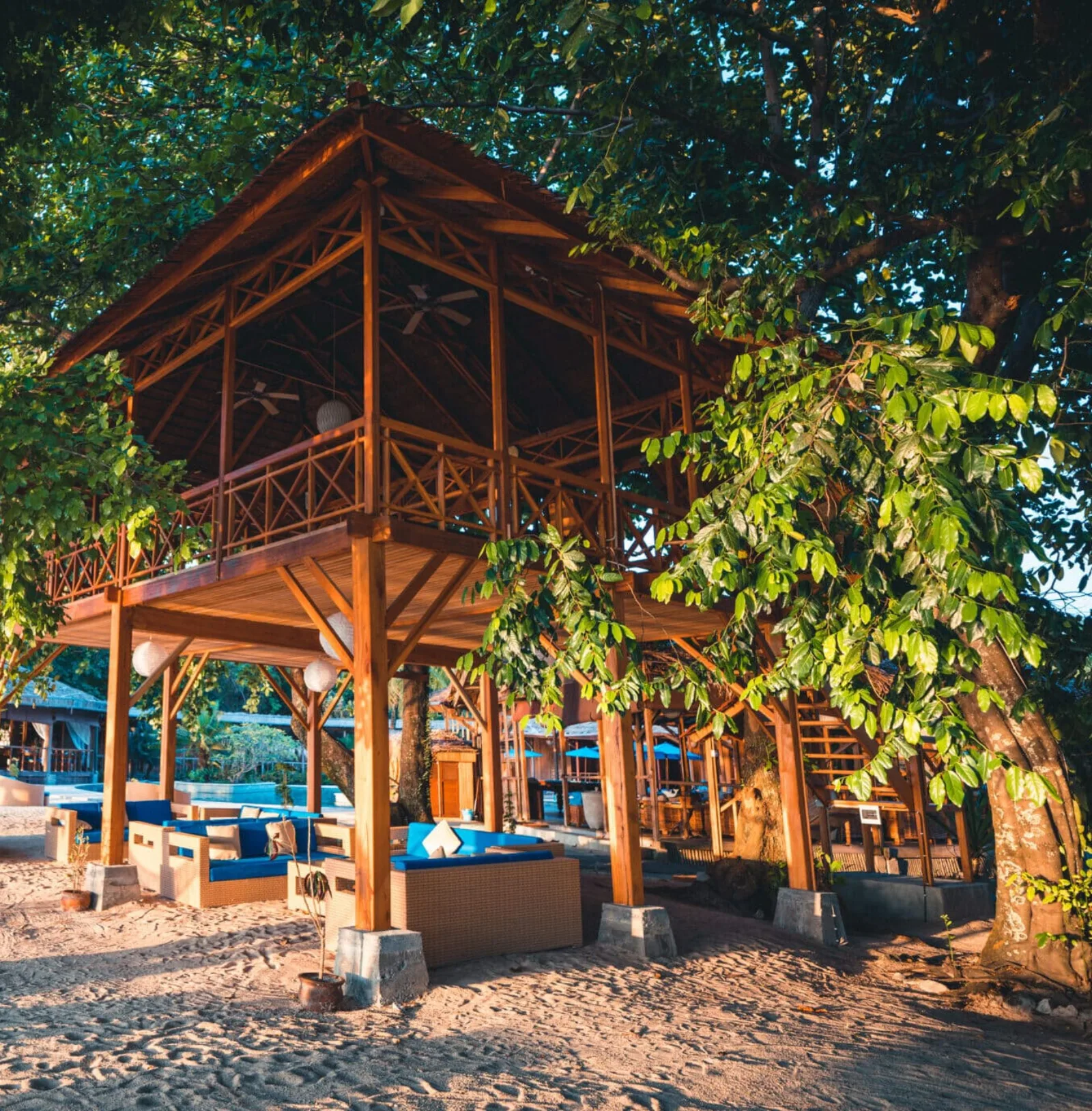 The Tree House among the treetops