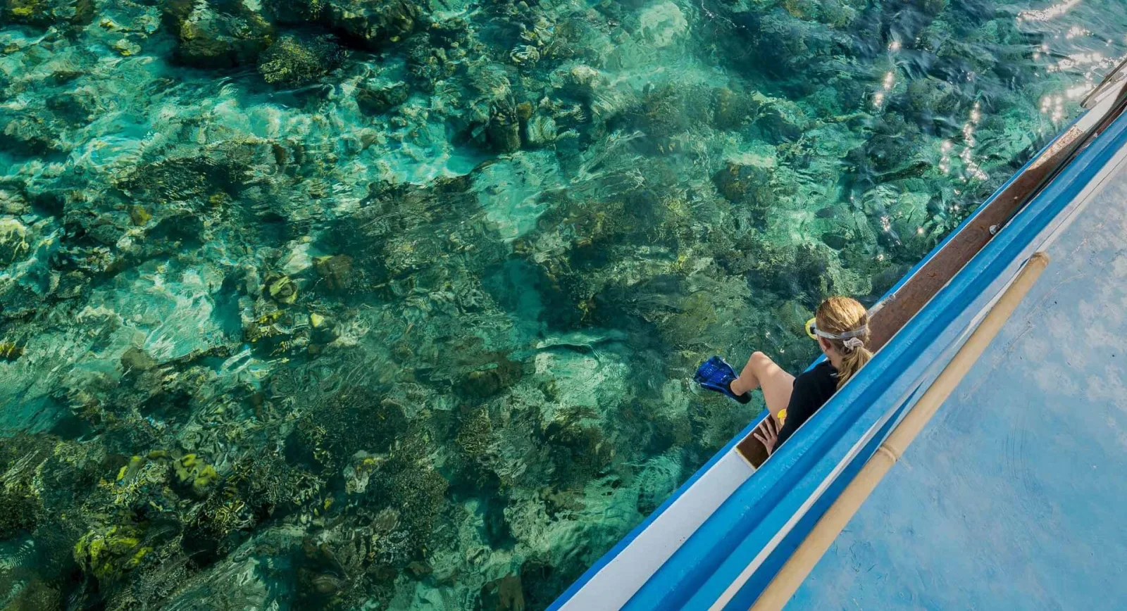 Snorkelling over the coral garden
