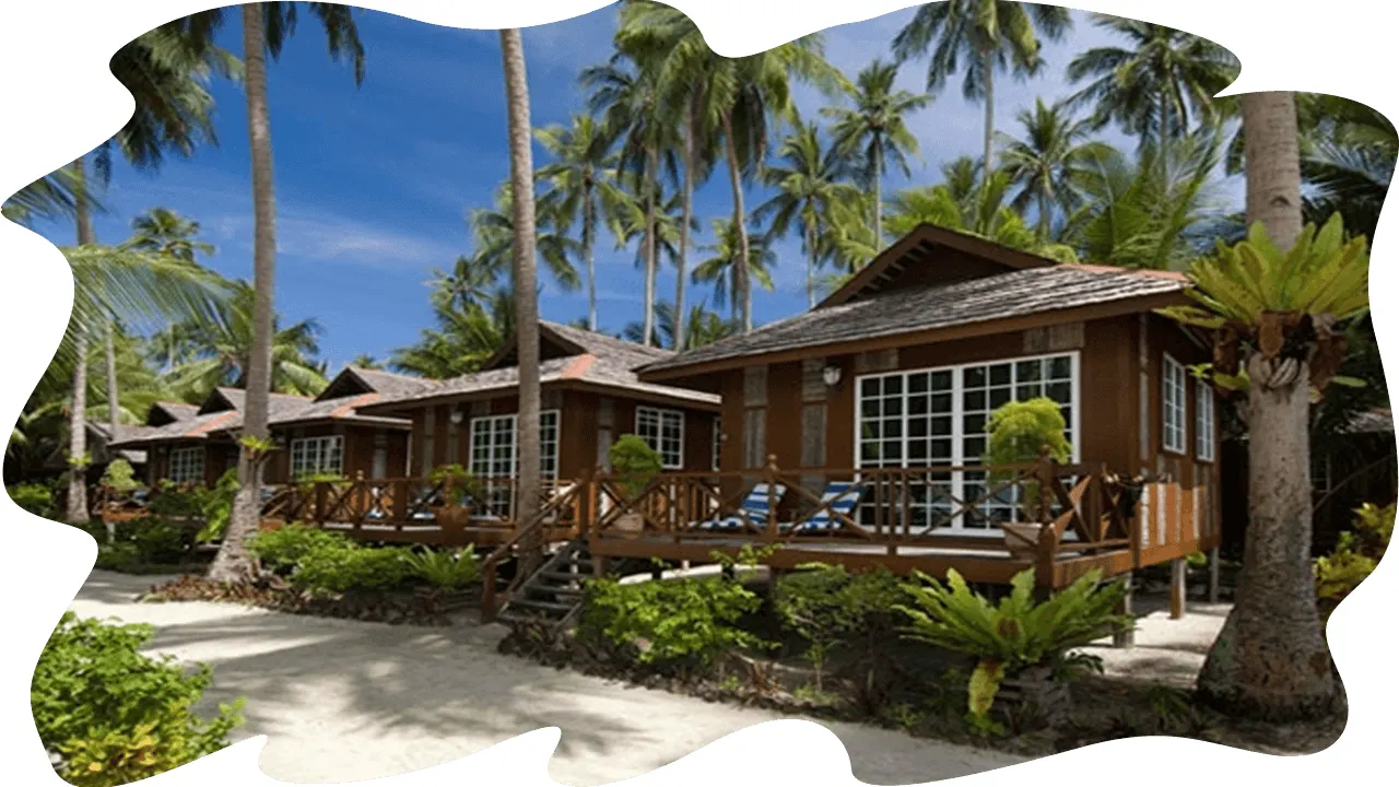 Chalets among the coconut palms
