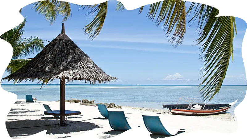 Lawn chairs and an umbrella on the beach
