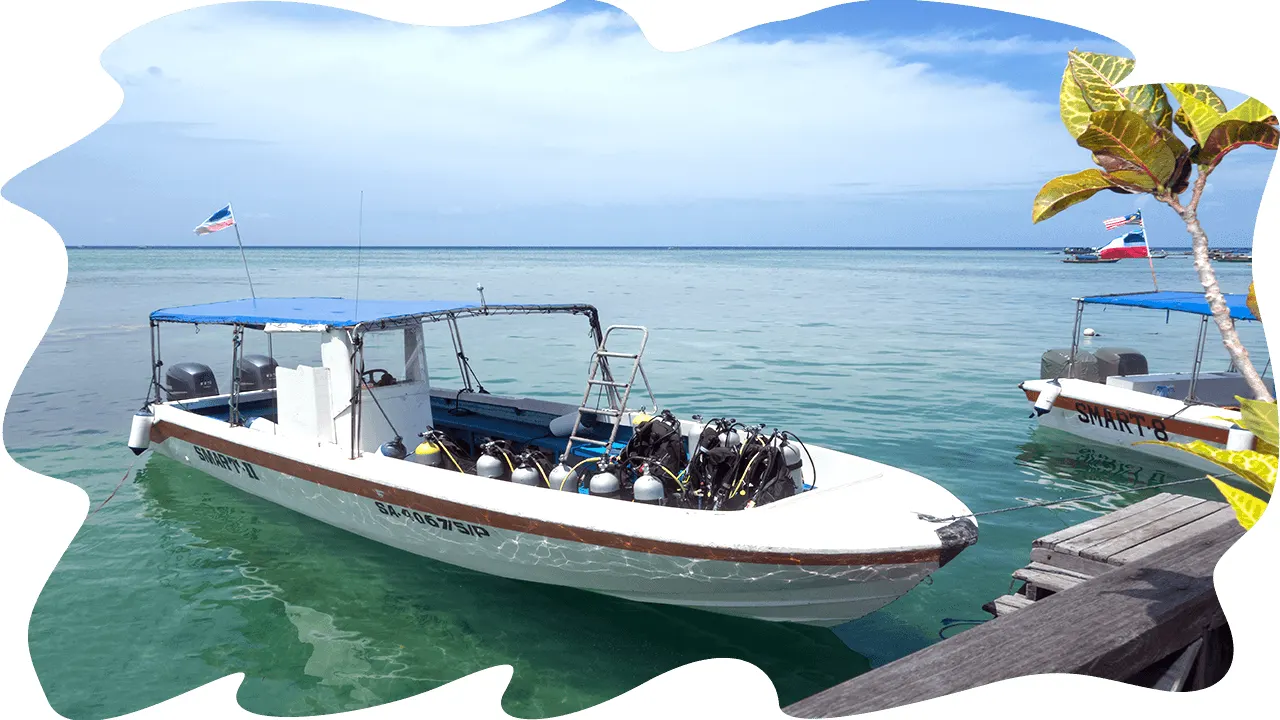 Dive boats at the jetty